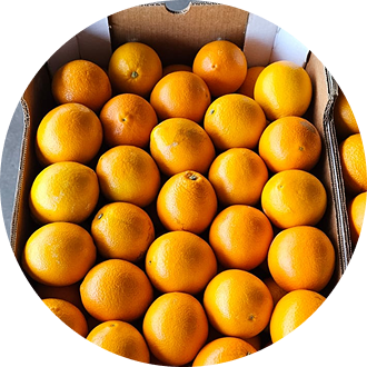 Лимон Ташкент