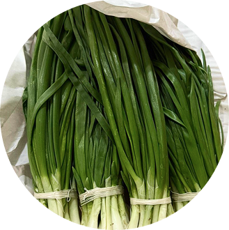 Лук Зеленый